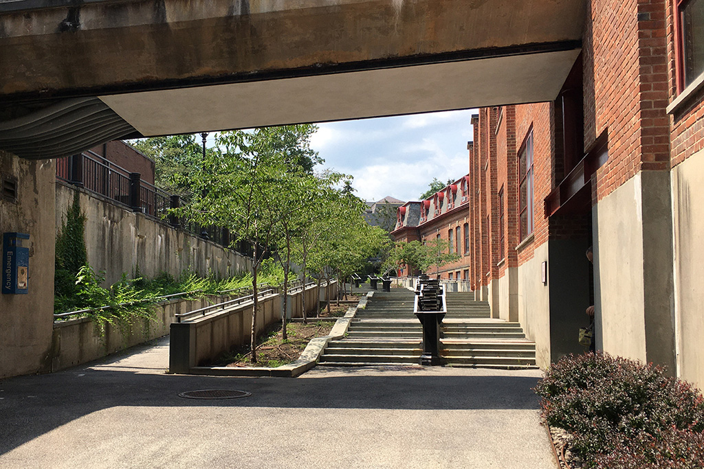 A walkway between buildings with trees and stairs.