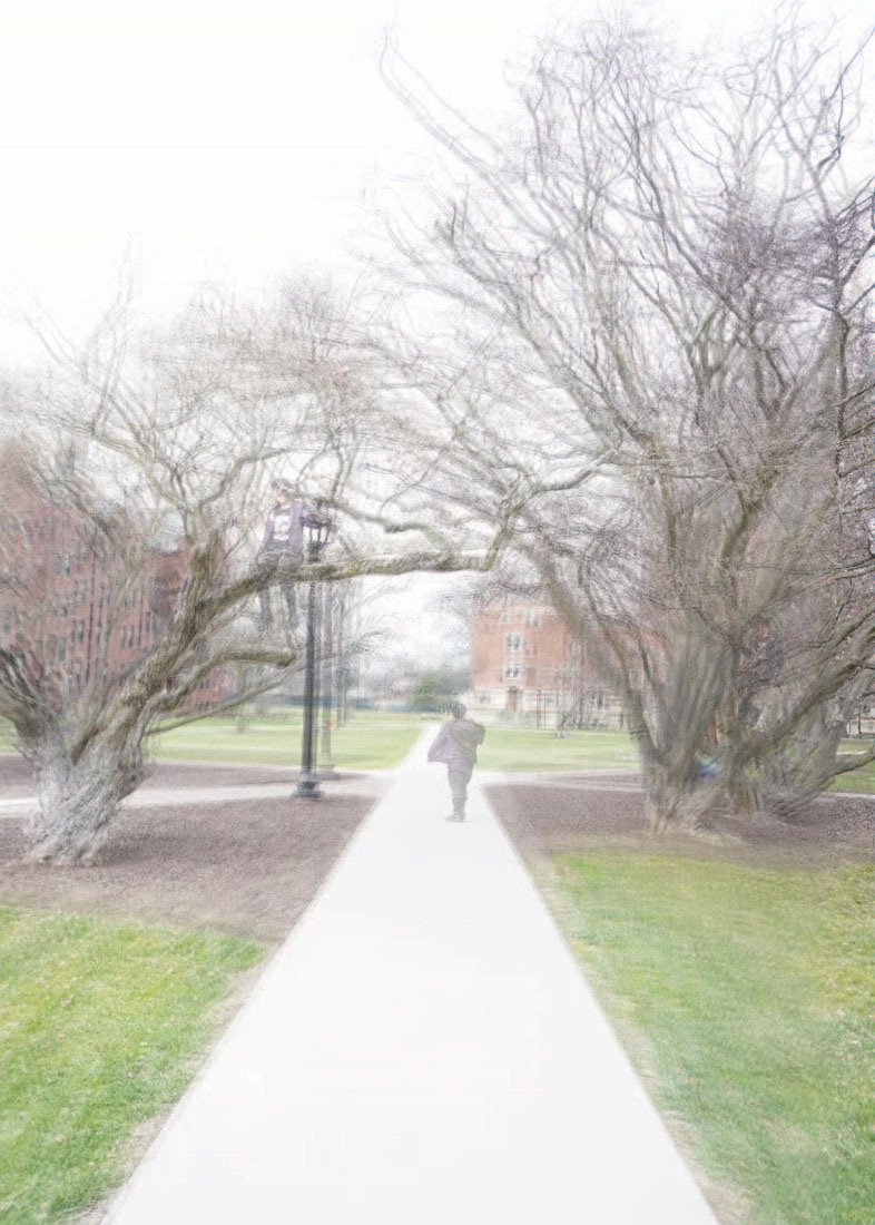 A blurry image of a person walking down a path.