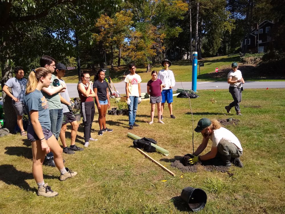 Tree Planting along the Casperkill with Trees for Tribs 2019