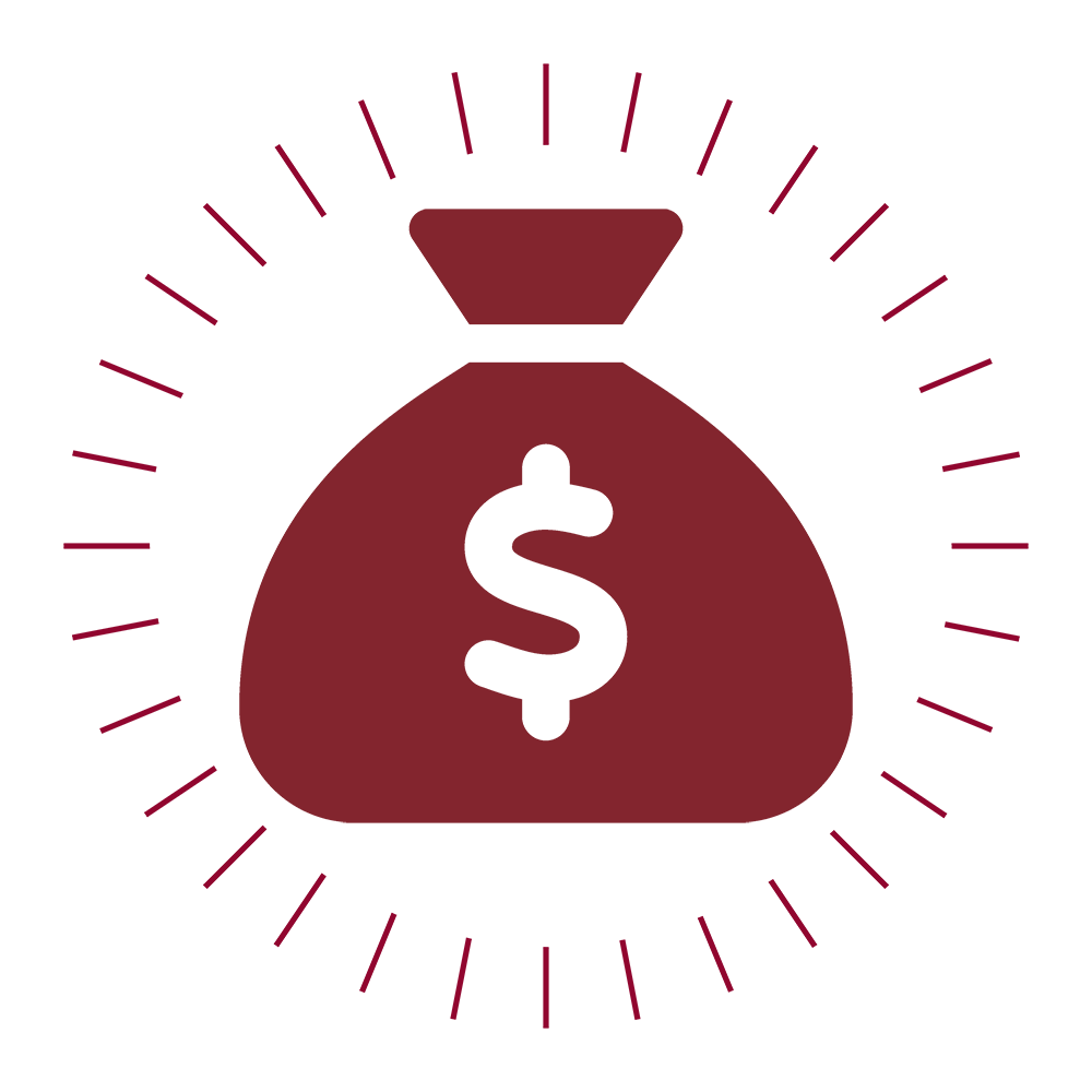 Icon of a sack with a dollar sign on it.