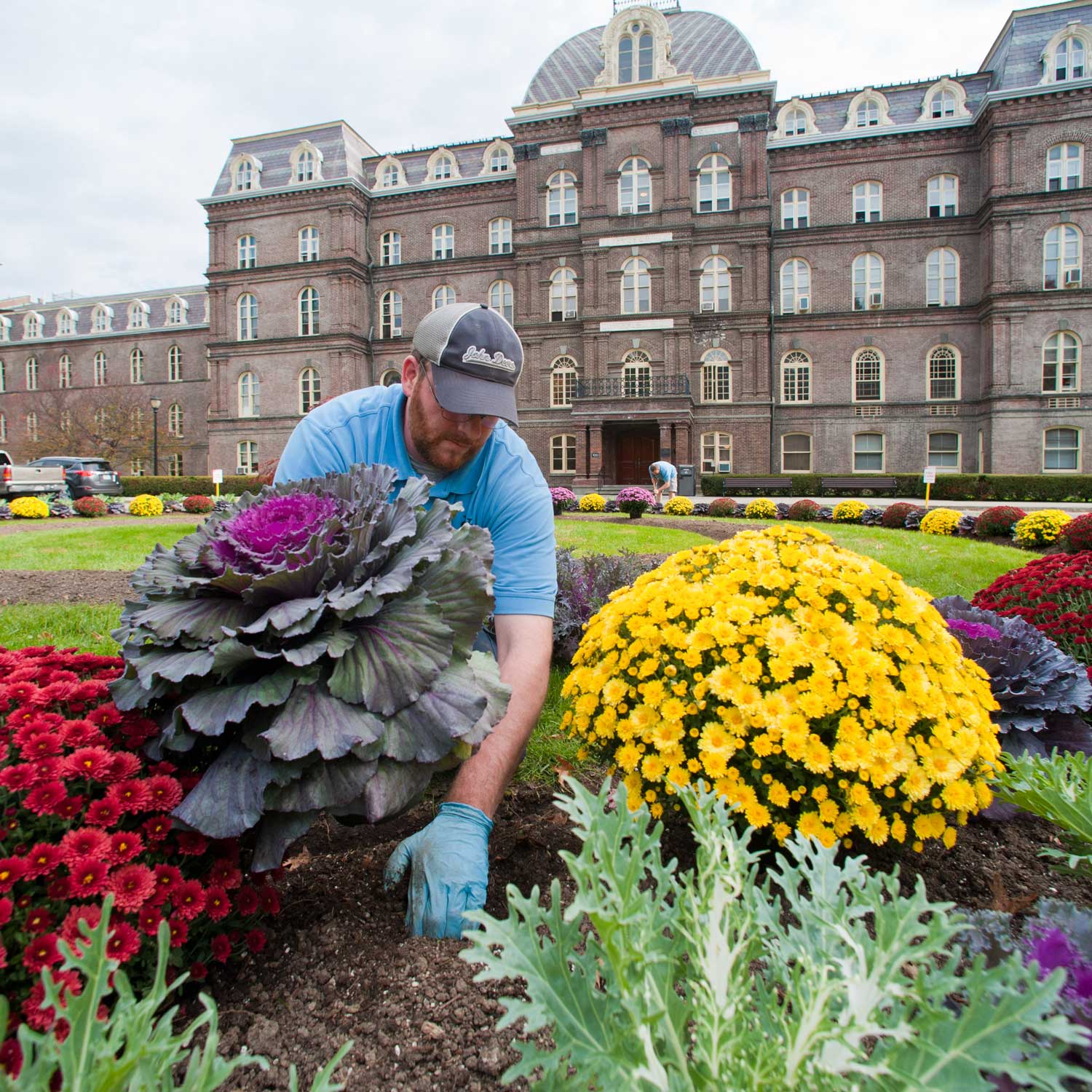 Planting flowers.
